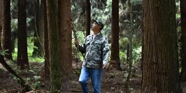 爱游戏体育-监守自盗！2021年，江苏一护林员2年多猎杀8只，清洗尸体时暴露
